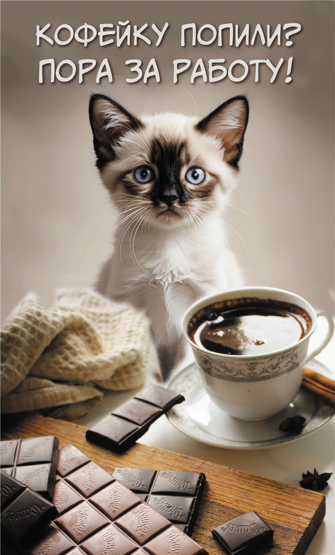 котенок и кофе
